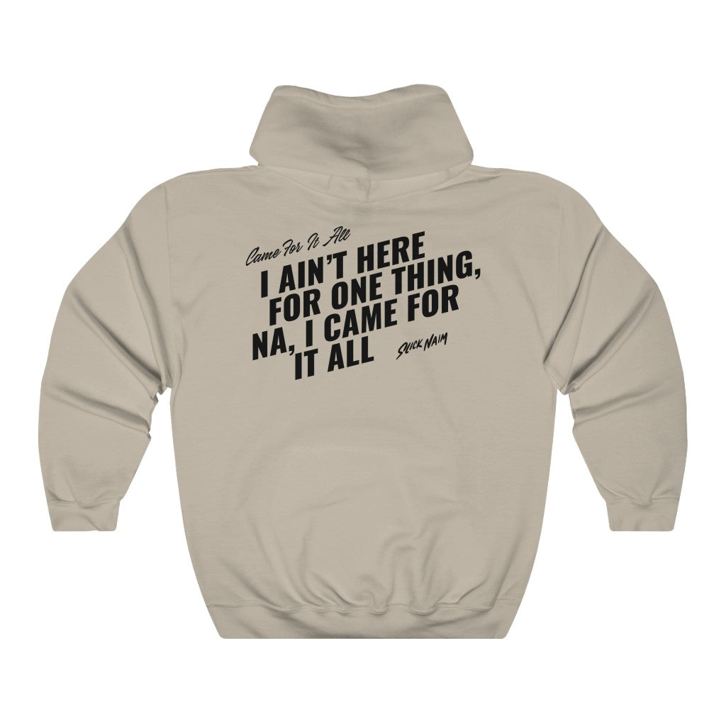 Came for it All: Unisex Heavy Blend™ Hooded Sweatshirt